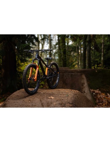 Vaikiškas dviratis GIANT STP 24 (2026) Juodas Chromas