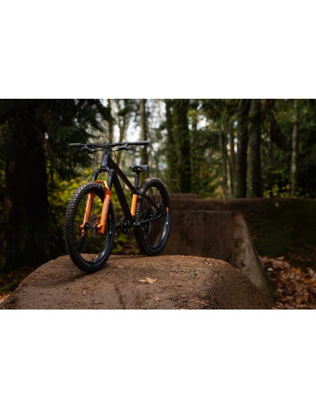 Vaikiškas dviratis GIANT STP 24 (2026) Juodas Chromas