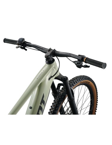 Elektrinis dviratis GIANT Stance E+ 2 (2027) 29" Desert Sage/Black (L)