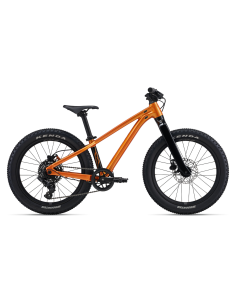 Vaikiškas dviratis GIANT STP 20, metalinės oranžinės spalvos