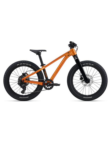 Vaikiškas dviratis GIANT STP 20, metalinės oranžinės spalvos
