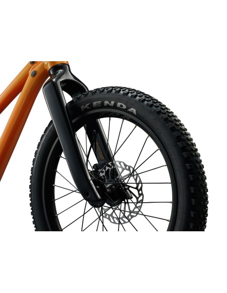 Vaikiškas dviratis GIANT STP 20, metalinės oranžinės spalvos