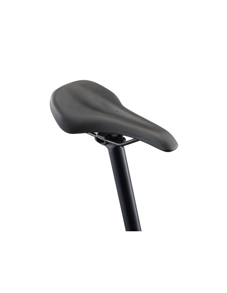 Elektrinis dviratis GIANT Talon E+ (2026) 29" Asfalto žalia (M)