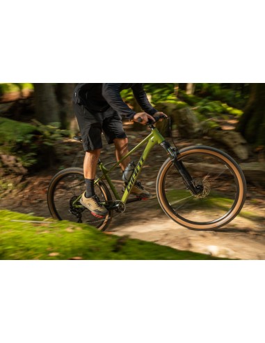 Dviratis GIANT Talon 2, 27.5" XS, džiovinta matcha