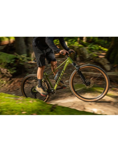 Dviratis GIANT Talon 2, 27.5" XS, džiovinta matcha
