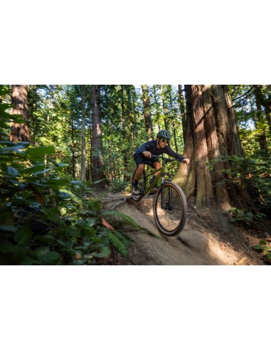Dviratis GIANT Talon 2, 27.5" XS, džiovinta matcha