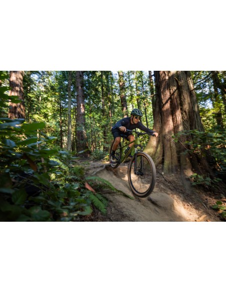 Dviratis GIANT Talon 2, 27.5" XS, džiovinta matcha