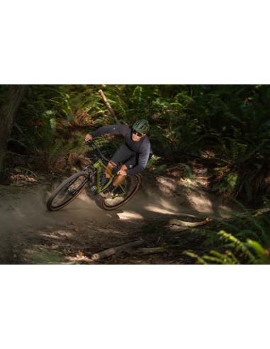 Dviratis GIANT Talon 2, 27.5" XS, džiovinta matcha