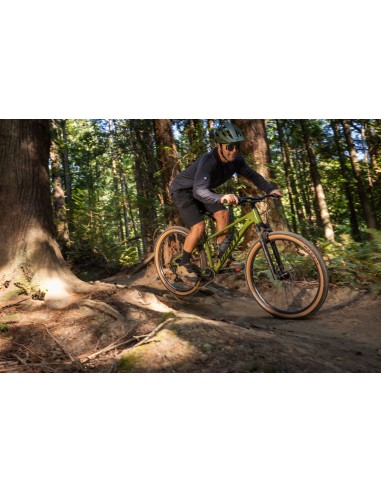 Dviratis GIANT Talon 2, 27.5" XS, džiovinta matcha