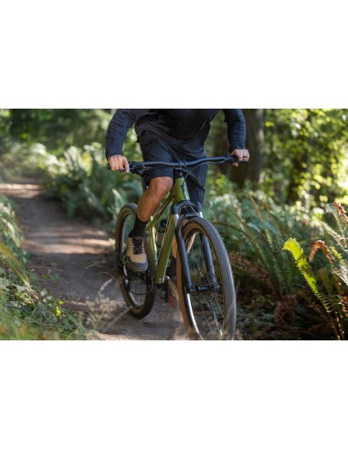 Dviratis GIANT Talon 2, 27.5" XS, džiovinta matcha
