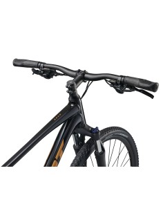 GIANT Roam 4 dviratis, juodas (M) 2