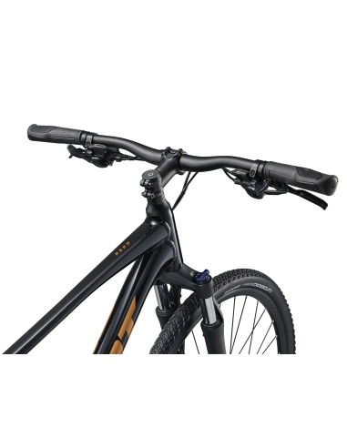 GIANT Roam 4 dviratis, juodas (M)