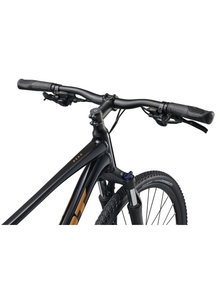 GIANT Roam 4 dviratis, juodas (M)