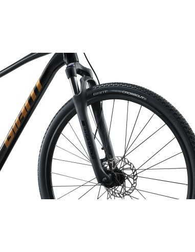 GIANT Roam 4 dviratis, juodas (M)