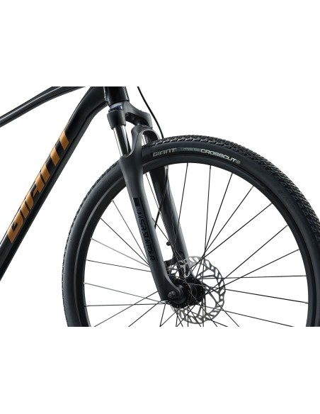 GIANT Roam 4 dviratis, juodas (M)