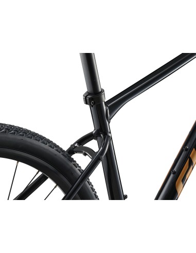 GIANT Roam 4 dviratis, juodas (M)