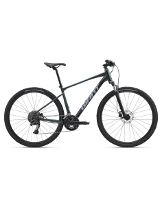 GIANT Roam 2 dviratis, asfalto žalias (XL)