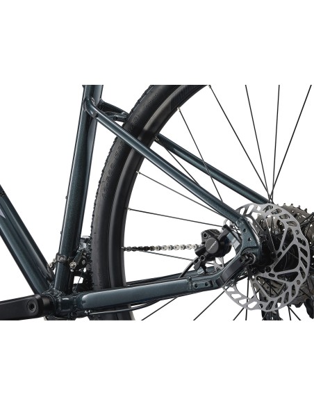 GIANT Roam 2 dviratis, asfalto žalias (XL)