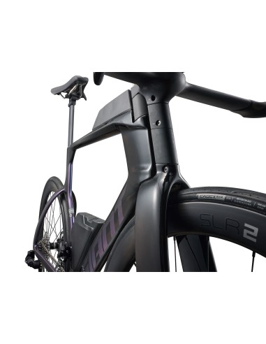 Plento dviratis GIANT Trinity Advanced SL 2, anglies pluošto/mėlynas laumžirgis (M)