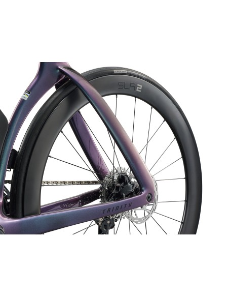 Plento dviratis GIANT Trinity Advanced SL 2, anglies pluošto/mėlynas laumžirgis (M)