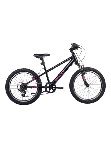 Vaikiškas dviratis S'COOL Xroc, 20" oksiduotas/rožinis