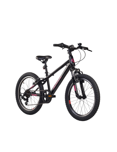 Vaikiškas dviratis S'COOL Xroc, 20" oksiduotas/rožinis