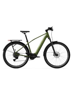 Elektrinis dviratis TENWAYS AGO X Special Edition, 29" žalias