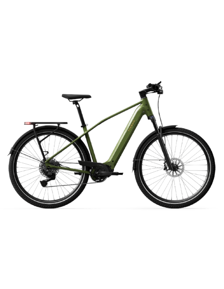 Elektrinis dviratis TENWAYS AGO X Special Edition, 29" žalias