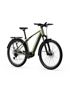 Elektrinis dviratis TENWAYS AGO X Special Edition, 29" žalias 2