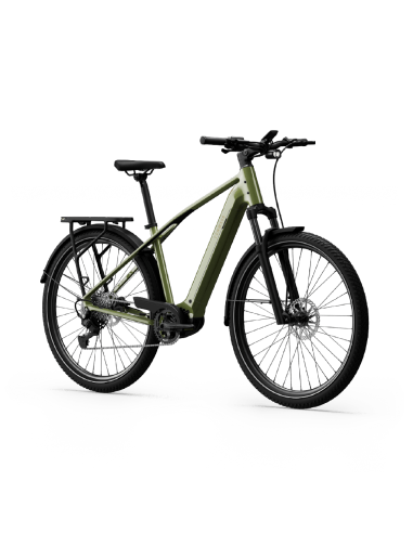 Elektrinis dviratis TENWAYS AGO X Special Edition, 29" žalias