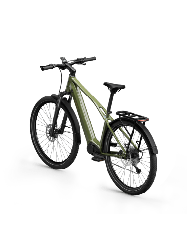 Elektrinis dviratis TENWAYS AGO X Special Edition, 29" žalias