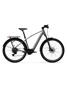 Elektrinis dviratis TENWAYS AGO X Special Edition, 29" sidabrinis