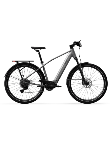 Elektrinis dviratis TENWAYS AGO X Special Edition, 29" sidabrinis