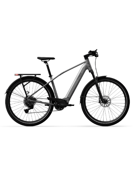 Elektrinis dviratis TENWAYS AGO X Special Edition, 29" sidabrinis