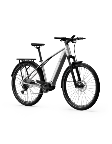 Elektrinis dviratis TENWAYS AGO X Special Edition, 29" sidabrinis