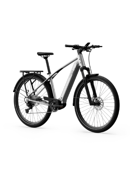 Elektrinis dviratis TENWAYS AGO X Special Edition, 29" sidabrinis