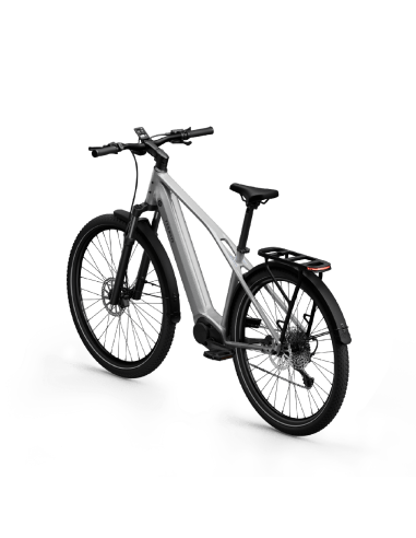 Elektrinis dviratis TENWAYS AGO X Special Edition, 29" sidabrinis