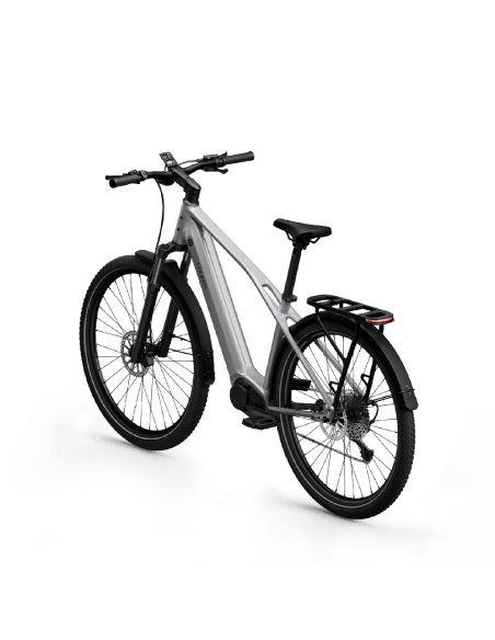 Elektrinis dviratis TENWAYS AGO X Special Edition, 29" sidabrinis