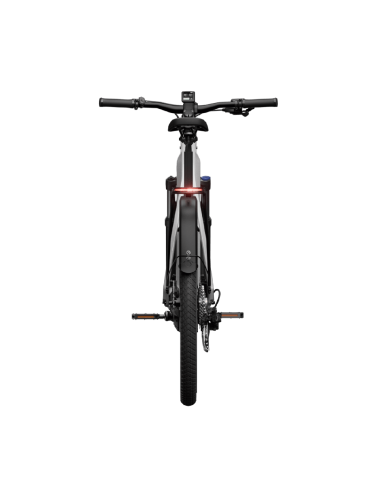 Elektrinis dviratis TENWAYS AGO X Special Edition, 29" sidabrinis