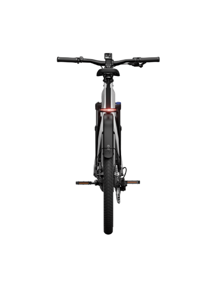 Elektrinis dviratis TENWAYS AGO X Special Edition, 29" sidabrinis