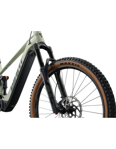 Elektrinis dviratis GIANT Stance E+ 2 (2027) 29" Desert Sage/Black (M)