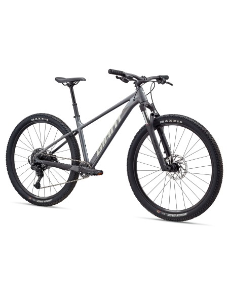 Dviratis GIANT Talon 1, 29" anglies pilka (XXL)