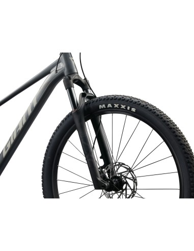 Dviratis GIANT Talon 1, 29" anglies pilka (XXL)