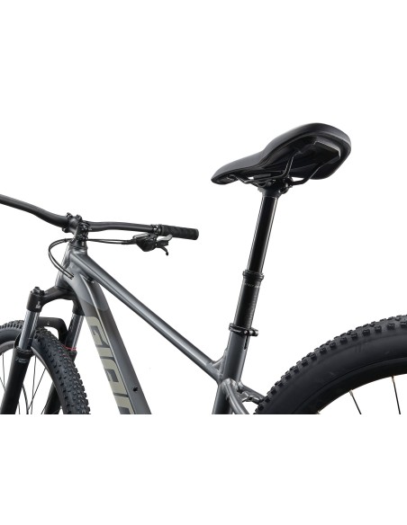 Dviratis GIANT Talon 1, 29" anglies pilka (XXL)
