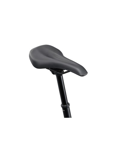 Dviratis GIANT Talon 1, 29" anglies pilka (XXL)