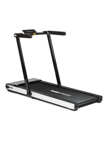 Беговая дорожка Flow Fitness DTM300i