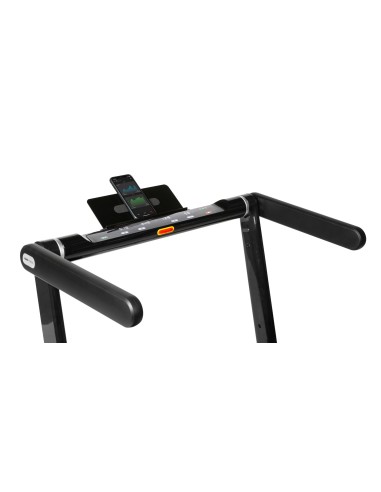 Беговая дорожка Flow Fitness DTM300i