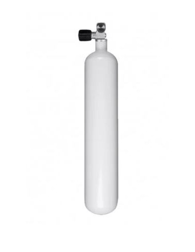 Balionas Dirzone 3 L  300 BAR 100 mm su čiaupu