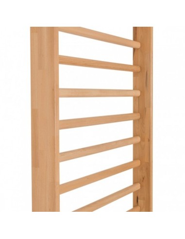 Gimnastikos sienelė 280cm