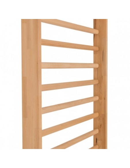 Gimnastikos sienelė 280cm